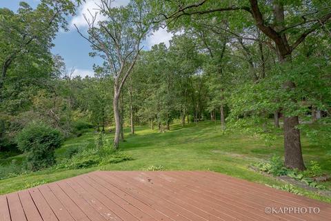 543 231st St, Steger, IL 60475 photo 29