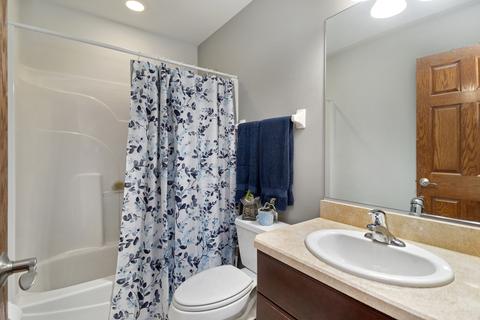 12903 Hawks Bill Ct, Plainfield, IL 60585 photo 19