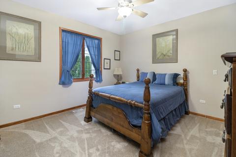 12903 Hawks Bill Ct, Plainfield, IL 60585 photo 23