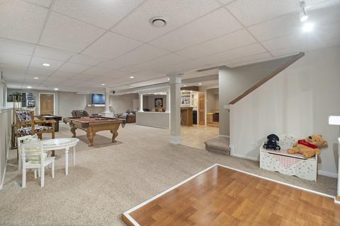12903 Hawks Bill Ct, Plainfield, IL 60585 photo 28