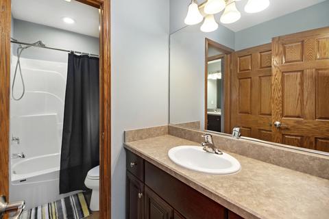 12903 Hawks Bill Ct, Plainfield, IL 60585 photo 21