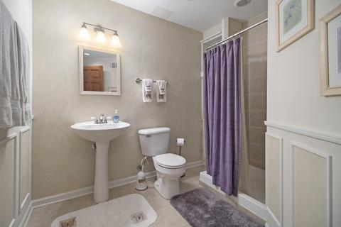 12903 Hawks Bill Ct, Plainfield, IL 60585 photo 30
