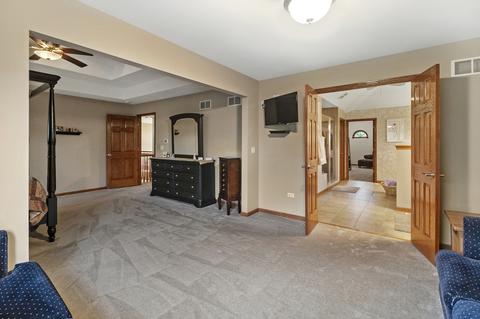 12903 Hawks Bill Ct, Plainfield, IL 60585 photo 14