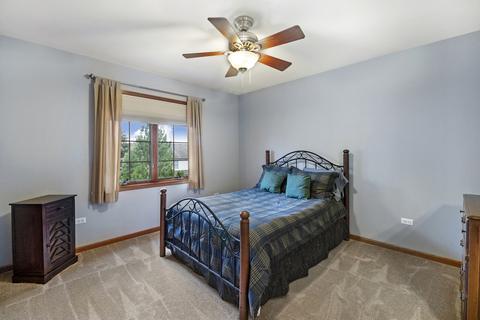 12903 Hawks Bill Ct, Plainfield, IL 60585 photo 22