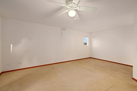 7509 Kenicott Ln, Plainfield, IL 60586 photo 23