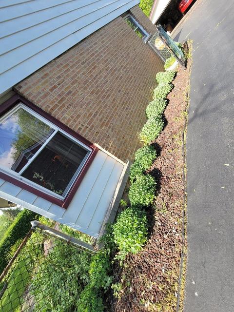 16609 Oxford Dr, Markham, IL 60428 photo 6