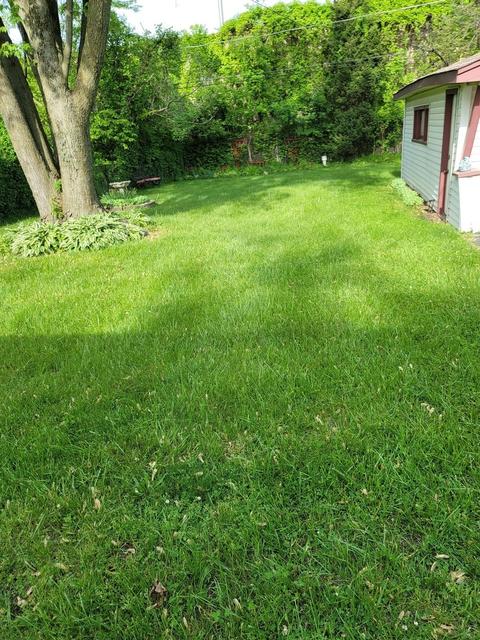 16609 Oxford Dr, Markham, IL 60428 photo 16