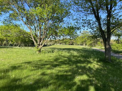 9 N010 Corron Rd, Elgin, IL 60124 photo 3