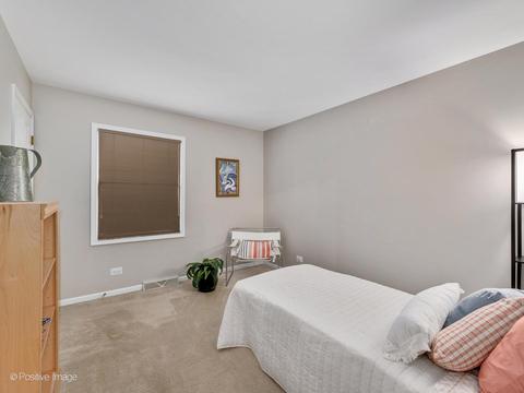 241 Bates St, Wheaton, IL 60187 photo 18