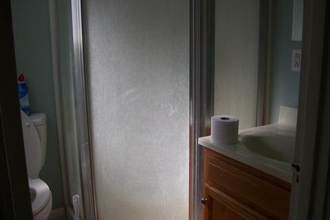 181 E Sprague St, Bement, IL 61813 photo 9