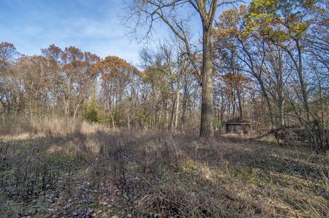 1 Meredith Dr, Riverwoods, IL 60015 photo 4