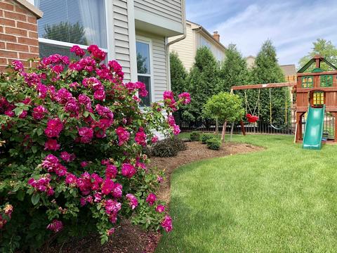 4430 Whitehall Ln, Algonquin, IL 60102 photo 23