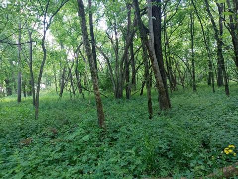 7000 E Scully Rd, Gardner, IL 60424 photo 15