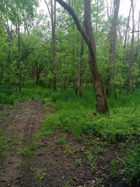 7000 E Scully Rd, Gardner, IL 60424 photo 12