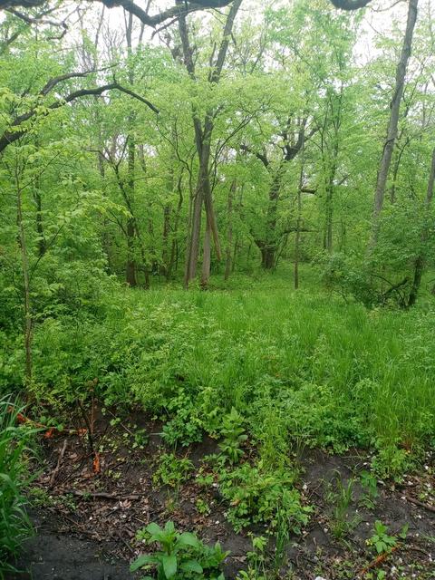 7000 E Scully Rd, Gardner, IL 60424 photo 13