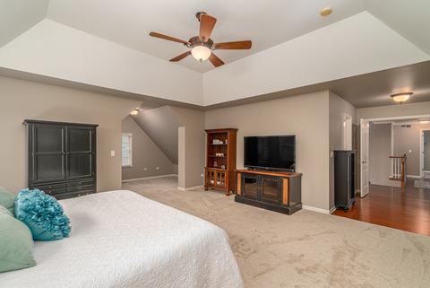 12451 Lily Ln, Plainfield, IL 60585 photo 20