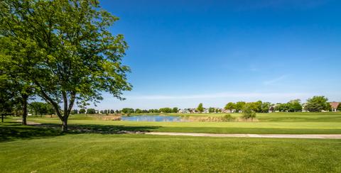 21430 W Juniper Ln, Plainfield, IL 60544 photo 24