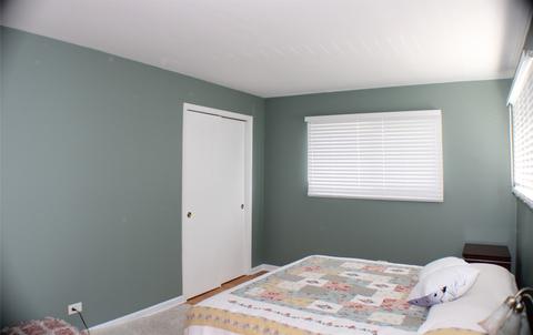 241 W Devon Ave, Roselle, IL 60172 photo 23