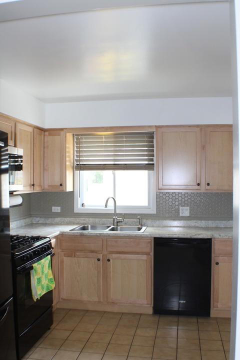 241 W Devon Ave, Roselle, IL 60172 photo 15
