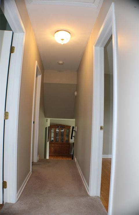 241 W Devon Ave, Roselle, IL 60172 photo 18