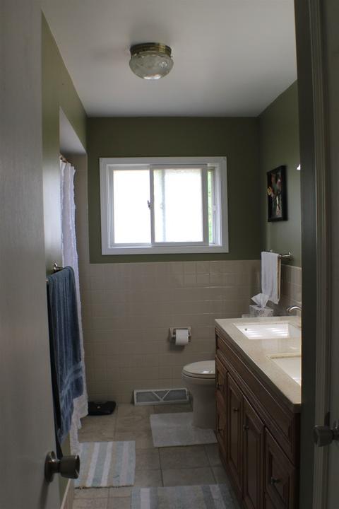 241 W Devon Ave, Roselle, IL 60172 photo 19