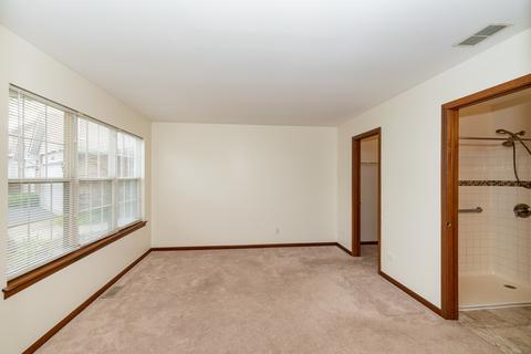 21337 Silktree Cir, Plainfield, IL 60544 photo 9