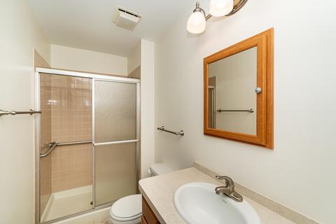 21337 Silktree Cir, Plainfield, IL 60544 photo 12