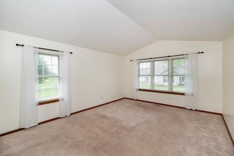 21337 Silktree Cir, Plainfield, IL 60544 photo 11