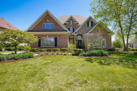 11659 Cinema Dr, Plainfield, IL 60585 photo 1