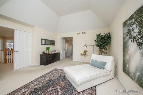 11659 Cinema Dr, Plainfield, IL 60585 photo 21
