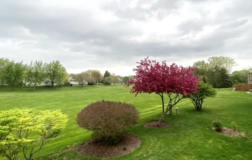  1820 Westbury Dr, Hoffman Estates, IL 60192 photo 2