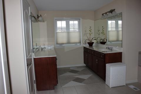 26620 Lindengate Cir, Plainfield, IL 60585 photo 9