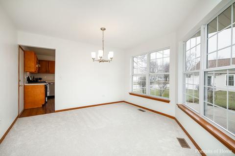 13337 Red Cedar Ln, Plainfield, IL 60544 photo 8