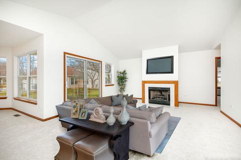 13337 Red Cedar Ln, Plainfield, IL 60544 photo 2