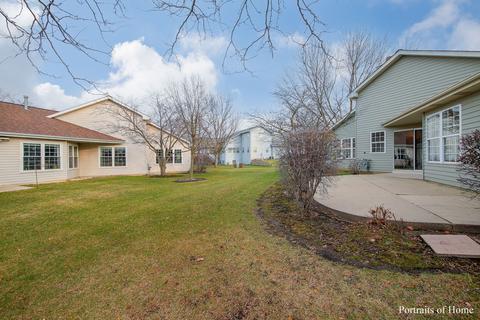 13337 Red Cedar Ln, Plainfield, IL 60544 photo 19