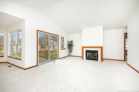 13337 Red Cedar Ln, Plainfield, IL 60544 photo 3