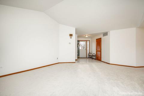 13337 Red Cedar Ln, Plainfield, IL 60544 photo 4