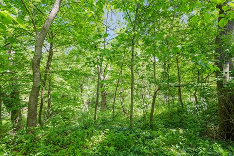 932 Meadow Ln, Elgin, IL 60123 photo 3
