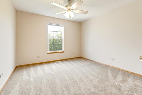 7514 Locust Ln, Plainfield, IL 60586 photo 21