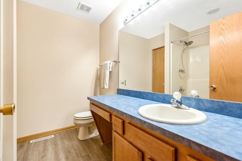 7514 Locust Ln, Plainfield, IL 60586 photo 19