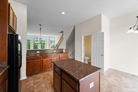159 S Grove Ave, Elgin, IL 60120 photo 9