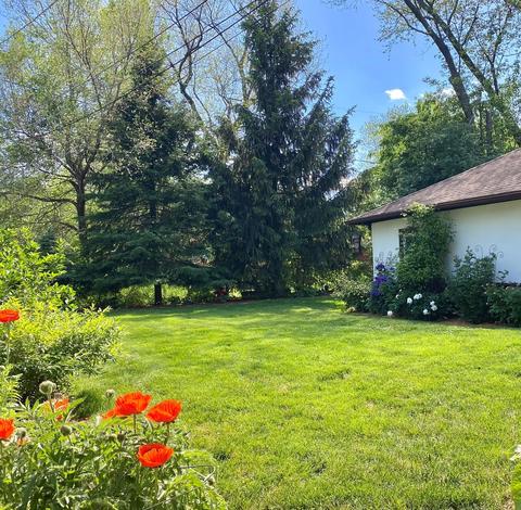 562 Webford Ave, Des Plaines, IL 60016 photo 40