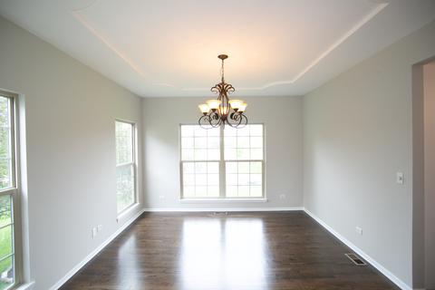 13609 Taylor Ct, Plainfield, IL 60544 photo 11