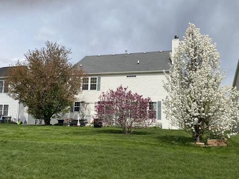 1639 Manor Oaks Dr, Plainfield, IL 60586 photo 21
