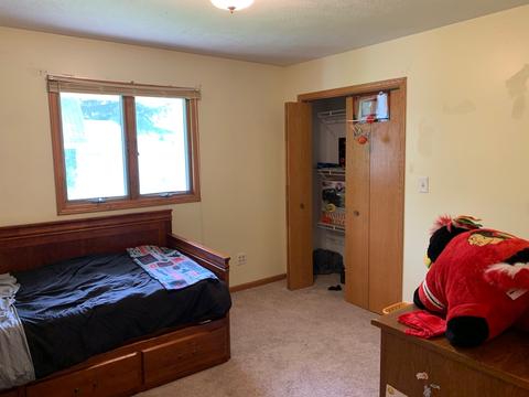 148 E 2nd St, Braidwood, IL 60408 photo 16