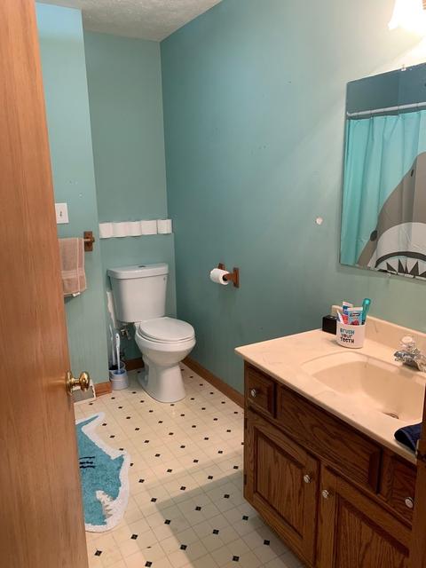 148 E 2nd St, Braidwood, IL 60408 photo 17