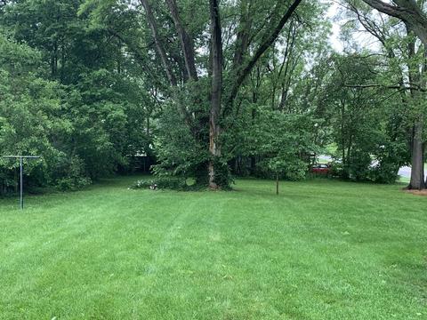 911 N School St, Normal, IL 61761 photo 26