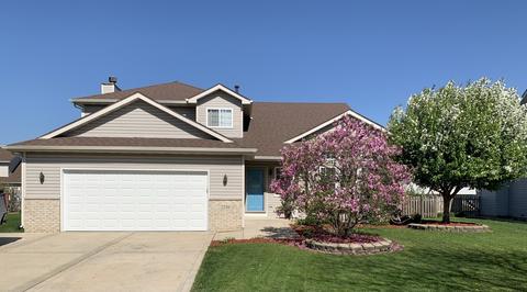 2206 Falcon Dr, Plainfield, IL 60586 photo 1