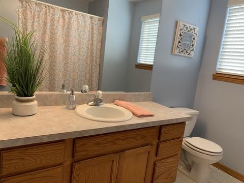 2206 Falcon Dr, Plainfield, IL 60586 photo 40