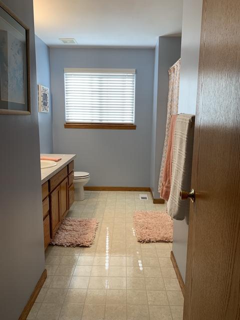 2206 Falcon Dr, Plainfield, IL 60586 photo 39